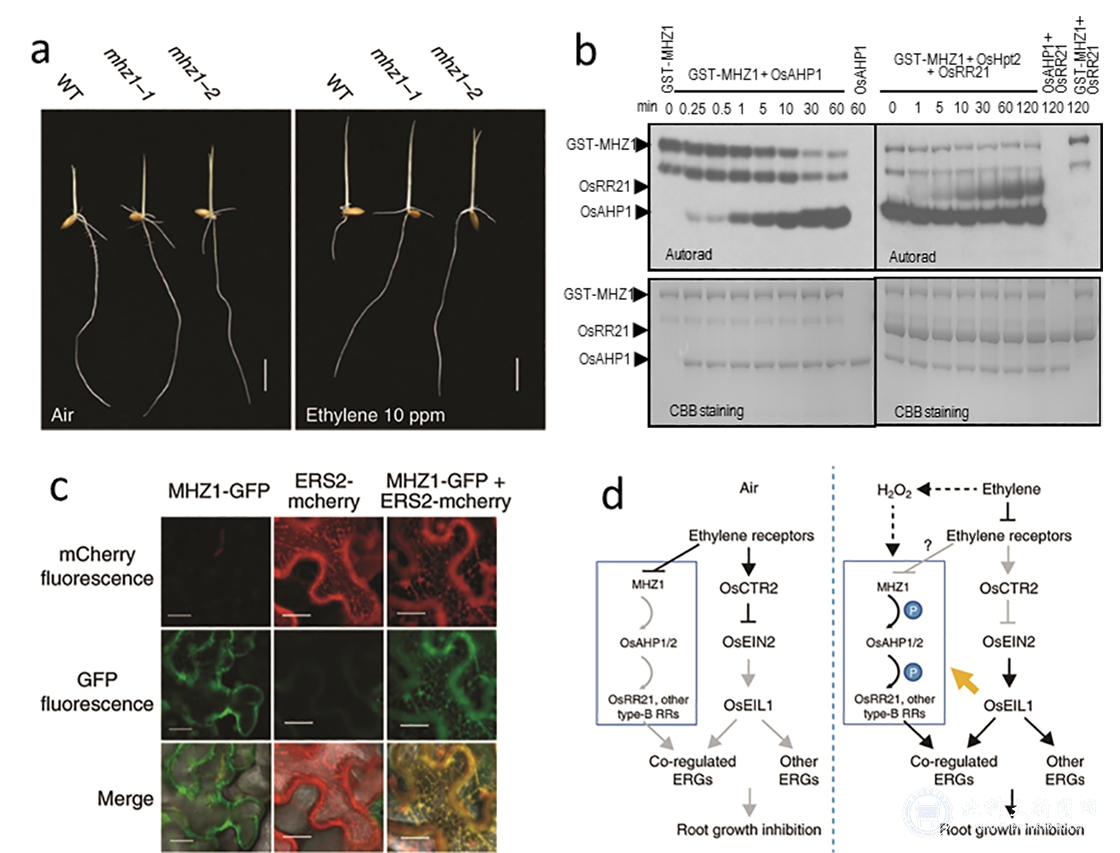1590049422160555.jpg 1590049422160555.jpg